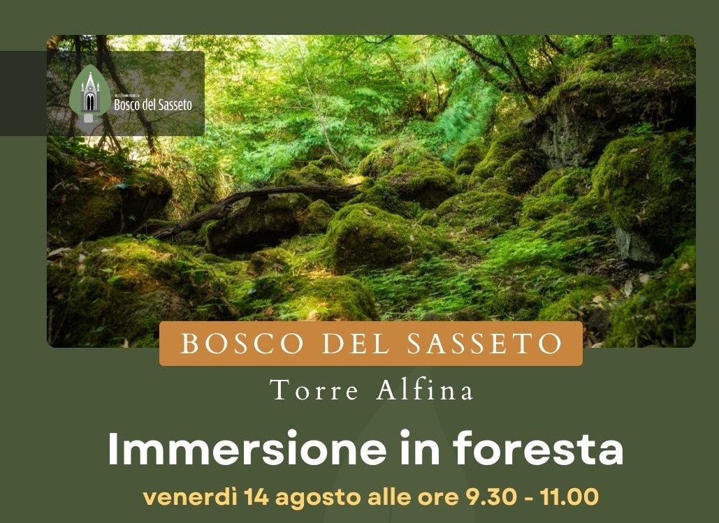 Immersione in foresta al Bosco del Sasseto